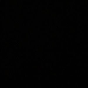 Meet your Posher, Dylan